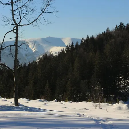 Buly 242/c * Donovaly