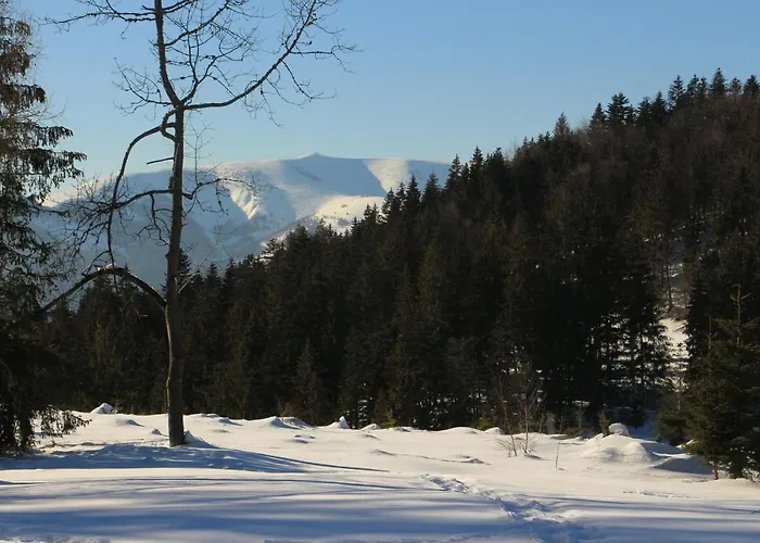 Buly 242/c * Donovaly