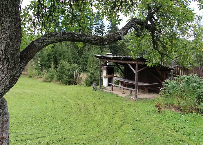 Buly 242/c * Donovaly